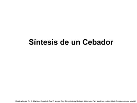 Síntesis de un Cebador Realizado por Dr. A. Martínez-Conde & Dra P. Mayor Dep. Bioquímica y Biología Molecular Fac. Medicina Universidad Complutense de.