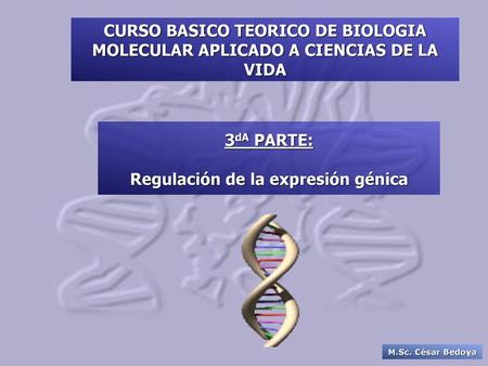 Regulación de la expresión génica