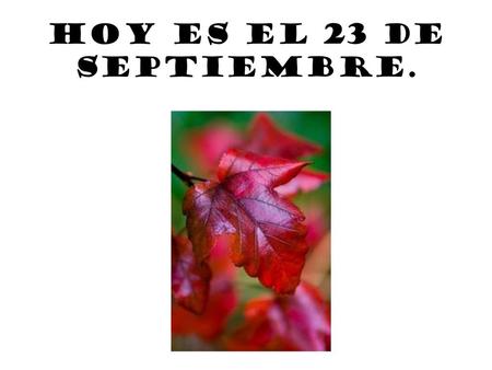 Hoy es el 23 de septiembre..