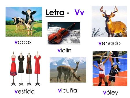 Letra - Vv vacas venado violín vicuña vestido vóley.