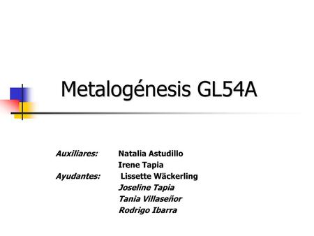 Metalogénesis GL54A Auxiliares: Natalia Astudillo Irene Tapia