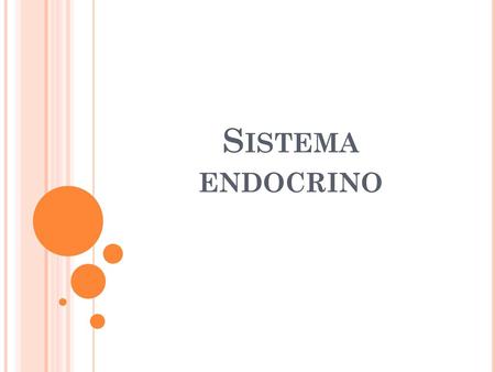 Sistema endocrino.