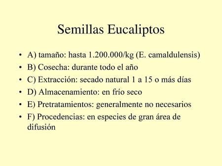 Semillas Eucaliptos A) tamaño: hasta /kg (E. camaldulensis)