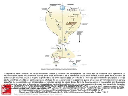 Comparación entre sistemas de neurotransmisores clásicos y sistemas de neuropéptidos. Se utiliza aquí la dopamina para representar un neurotransmisor clásico.