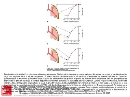 Distribución de la ventilación a diferentes volúmenes pulmonares