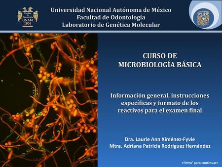 CURSO DE MICROBIOLOGÍA BÁSICA