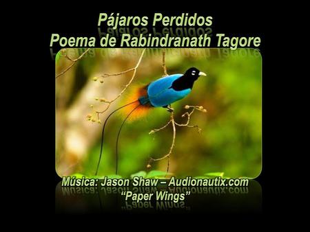 Poema de Rabindranath Tagore Música: Jason Shaw – Audionautix.com