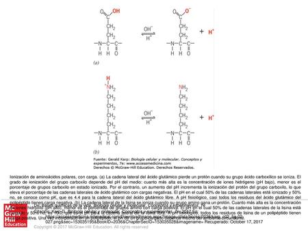 Ionización de aminoácidos polares, con carga