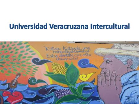Universidad Veracruzana Intercultural