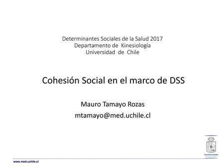 Cohesión Social en el marco de DSS