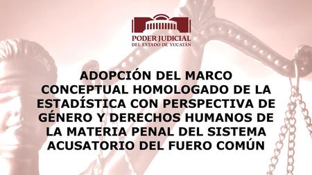 ADOPCIÓN DEL MARCO CONCEPTUAL HOMOLOGADO DE LA ESTADÍSTICA CON PERSPECTIVA DE GÉNERO Y DERECHOS HUMANOS DE LA MATERIA PENAL DEL SISTEMA ACUSATORIO DEL.