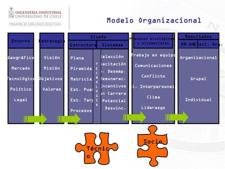 Modelo Organizacional