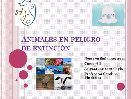 Animales en peligro de extinción