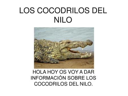 LOS COCODRILOS DEL NILO