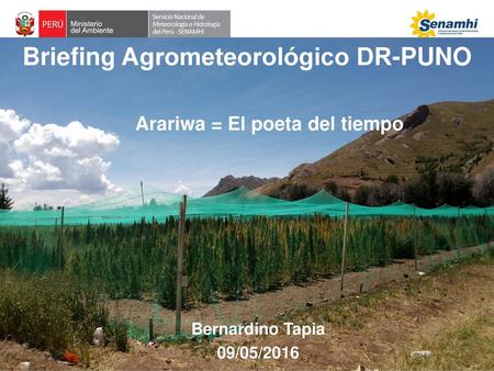 Briefing Agrometeorológico DR-PUNO