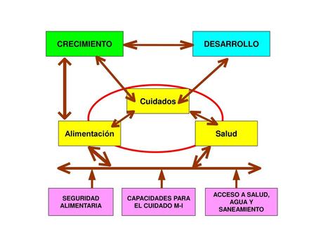 CRECIMIENTO DESARROLLO Cuidados Alimentación Salud