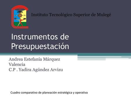 Instrumentos de Presupuestación