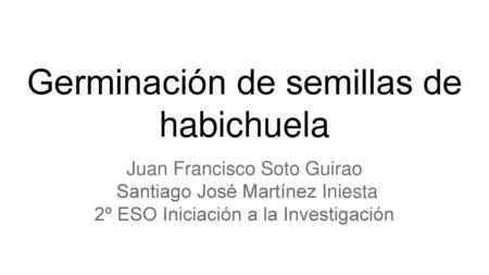 Germinación de semillas de habichuela