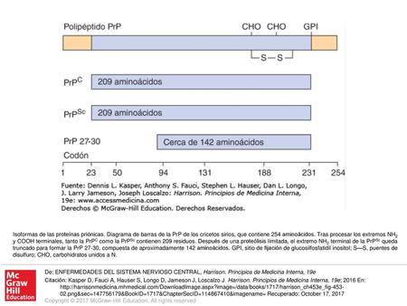 Isoformas de las proteínas priónicas