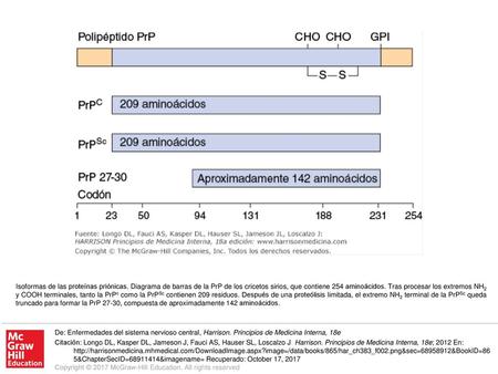 Isoformas de las proteínas priónicas