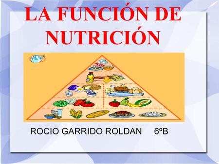 LA FUNCIÓN DE NUTRICIÓN