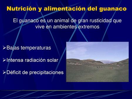 Nutrición y alimentación del guanaco