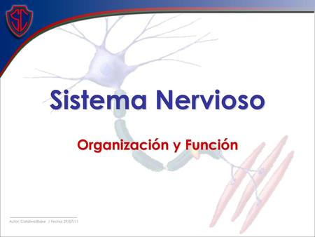 Organización y Función