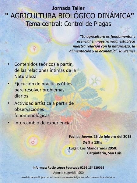 Informes: Rocio López Fourcade