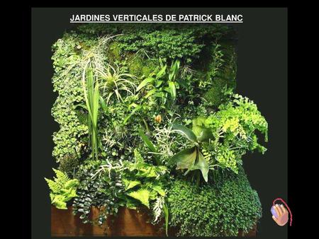 JARDINES VERTICALES DE PATRICK BLANC