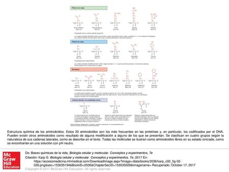 Estructura química de los aminoácidos