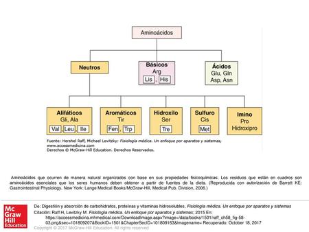 Aminoácidos que ocurren de manera natural organizados con base en sus propiedades fisicoquímicas. Los residuos que están en cuadros son aminoácidos esenciales.