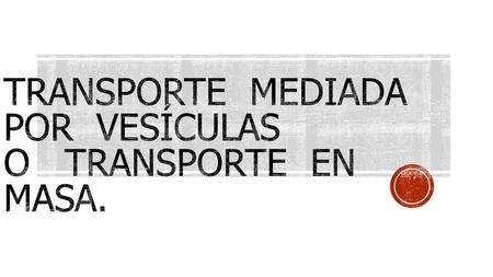 Transporte Mediada por vesículas o transporte en masa.