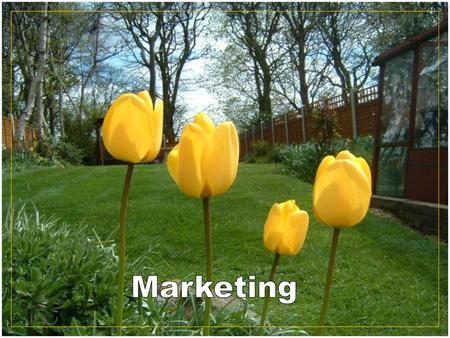 Marketing.