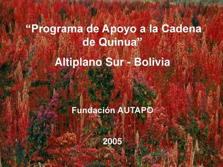 “Programa de Apoyo a la Cadena de Quinua” Altiplano Sur - Bolivia