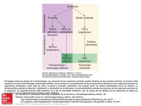 Principales áreas de estudio de la farmacología