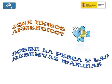 ¿QUE HEMOS APRENDIDO? SOBRE LA PESCA Y LAS RESERVAS MARINAS.