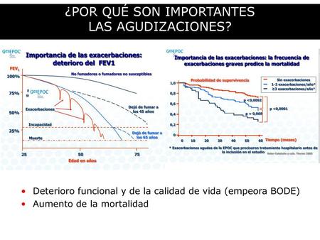 ¿POR QUÉ SON IMPORTANTES LAS AGUDIZACIONES?