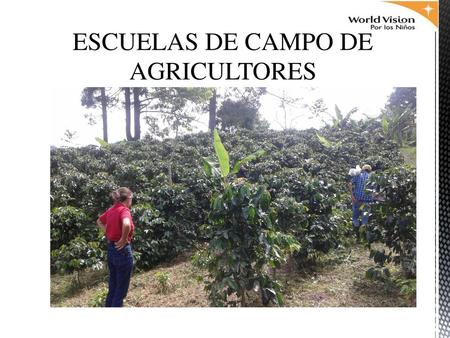 ESCUELAS DE CAMPO DE AGRICULTORES