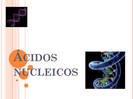 Ácidos nucleicos.