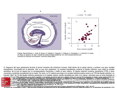 B. Datos de Contempré y cols