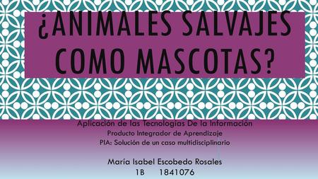 ¿Animales salvajes como mascotas?