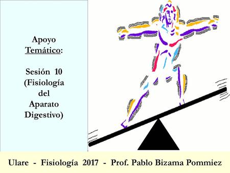 Ulare - Fisiología Prof. Pablo Bizama Pommiez