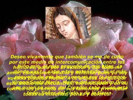 Deseo vivamente que también se me de culto por este medio de intercomunicación entre los hombres, para por él mostrar y dar todo mi amor, compasión, auxilio.
