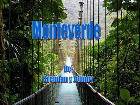 Monteverde De: Brendan y Johnny.