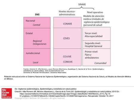 Relación estructural entre el Sistema Nacional de Vigilancia Epidemiológica, organización del Sistema Nacional de Salud y el Modelo de Atención Médica.