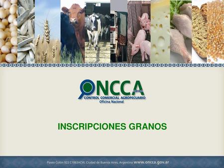 INSCRIPCIONES GRANOS.