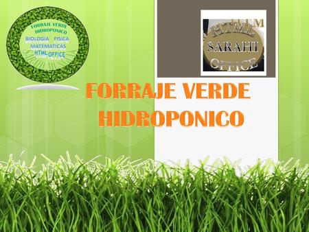 FORRAJE VERDE HIDROPONICO.
