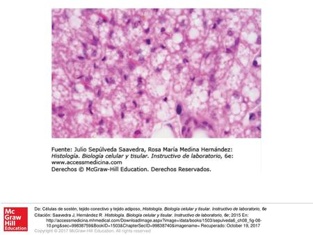 De: Células de sostén, tejido conectivo y tejido adiposo, Histología