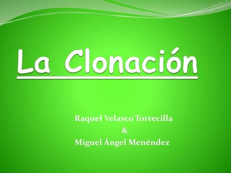 Raquel Velasco Torrecilla & Miguel Ángel Menéndez