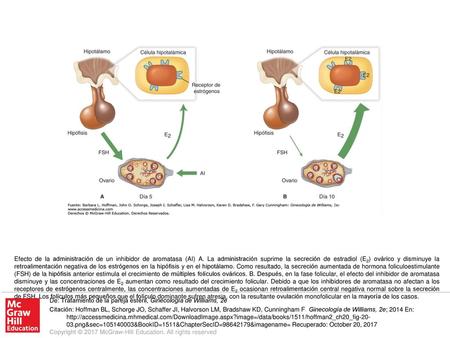 Efecto de la administración de un inhibidor de aromatasa (AI) A